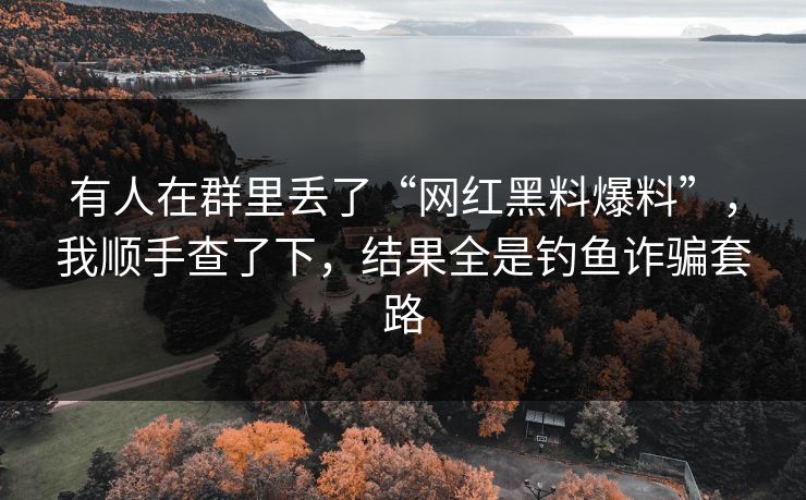 有人在群里丢了“网红黑料爆料”，我顺手查了下，结果全是钓鱼诈骗套路